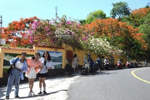 bán đất biệt thự bãi dâu tại trần phú, phuong 5, vũng tàu, giá 27,5 tỷ, 412 m2,