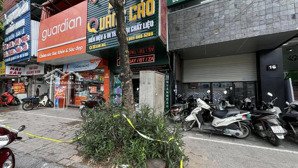 vị trí vàng - mặt phố phạm sư mạnh (nguyễn khắc cần) giá 16,5 tỷ, 75m x2t. kinh doanh