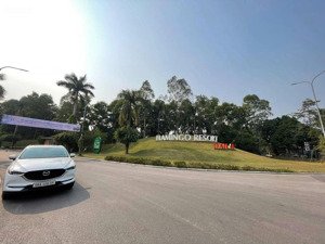 bán căn hitop villas ở flamingo đại lải .