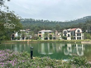 3 căn đơn lập mặt hồ vip nhất dự án trực tiếp từ cđt giá 36 tỷ 568m2