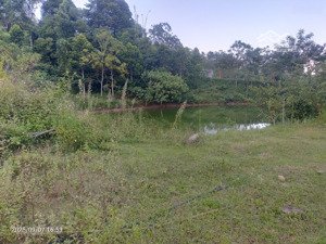 duy nhất lô đất nghỉ dưỡng phong cảnh hữu tình, tại đà bắc, phúi thọ