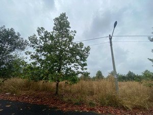 bán đất nền dự án asian lake view, 1,1 tỷ, 183m2 tại tiến thành, đồng xoài, bình phước