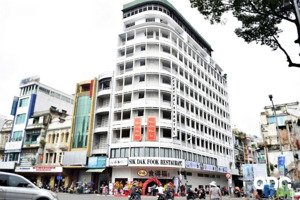 siêu dòng tiền! bán nhà đường quang trung - gò vấp - dt 8x25 - hầm 7 tầng + hđt 300 tr - giá 45 tỷ