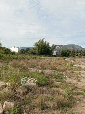 đất trồng cây 5499m2, suối tiên, diên khánh, khánh hòa, giá 94 tỷ vnd