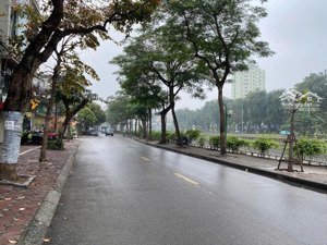 phố nguyễn ngọc vũ ô tô đỗ cổng 73m 4 tầng giá 11 tỷ