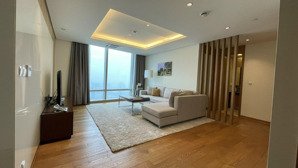 căn hộ dv kim mã thượng, 80m2 giá 20 triệu, duplex 200m2 giá 40tr. full đồ