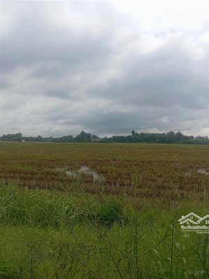 bán đất rừng tại xuân sơn, 90 tỷ, 67519.1 m2