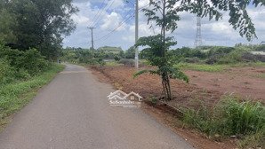 thanh lý vài lô 100m2 full thổ sổ riêng tại bàu cạn long thành