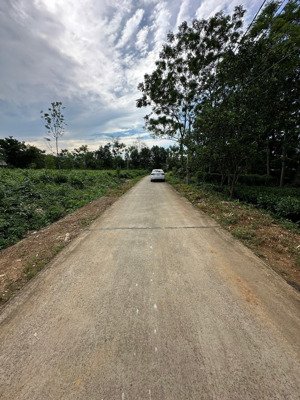 siêu rộng ba trại, ba vì chính chủ cần bán lô đất 2011m giá chỉ hơn 1 triệu/m. vị trí