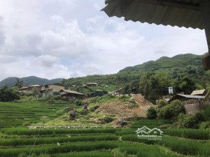 chỉ 1 tỷ 990 triệu sở hữu ngay nhà cổ trung tâm tả van sa pa diện tích 329m2 thổ cư view siêu đẹp