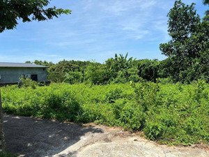 lô đất trung tâm xã ba trại cũ, thuộc tuyến 2 tl, cách tl86 chỉ 100m, cách chợ, trạm, ub xã cũ 500m