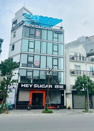 cho thuê nhà mặt phố trần đại nghĩa-80m²x4t+tum - mt 9m - trung tâm hai bà trưng, phù hợp chuỗi lớn