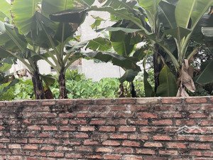 bán đất việt hưng long biên dt 65m*mt6m 50m ra mặt phố việt hưng giá 7.85tỷ ngõ thông