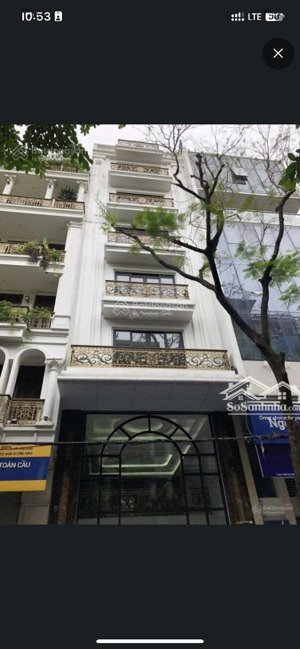 cho thuê nhà mặt phố nguyễn chánh, trung hòa, cầu giấy 95m x 4 tầng mặt tiền 6m có thang máy.