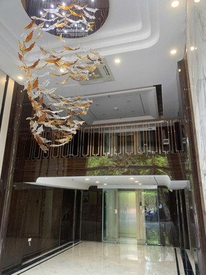 siêu phẩm vương thừa vũ - thanh xuân - 50m2 x 7 tầng thang máy x 5m mặt tiền x 21 tỷ - ô tô tránh.