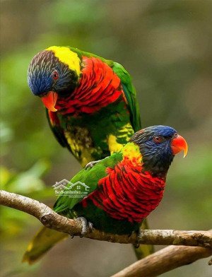 bán nhà mt đường nguyễn minh hoàng(khu k300)dt 5x20m.tiện xây mới.