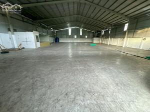 CHO THUÊ KHO MỚI 600M2 MẶT TIỀN ĐƯỜNG TL 887,BẾN TRE(cũ)