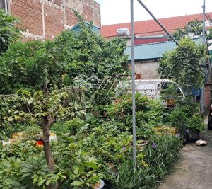 hà huy tập, đất đẹp miễn chê,hậu nở, hợp lý về giá