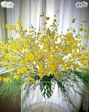 LH :0936298578 : Hà Nam : 5000 m..7000 m..9000m..1ha ..10 ha