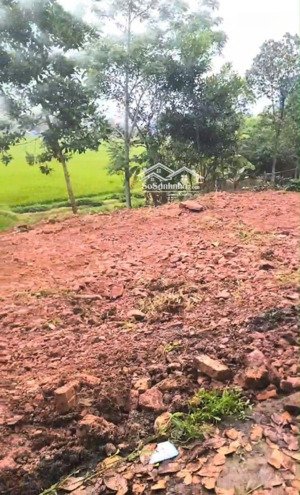 diện tích 300m2, thôn đa hội, xã bắc sơn, huyện sóc sơn, thành phố hà nội