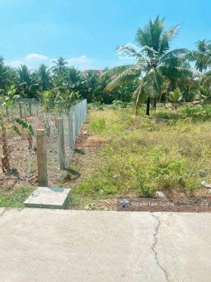 bán lô đất mỹ thạnh an, bến tre với diện tích 100m2. full thổ cư sổ hồng riêng dân cư đông đúc