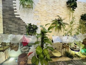 nhà đẹp phân lô qđ ba đình, ô tô đỗ cửa, 2 thoáng, full nội thất gỗ cao cấp, ô chờ thang máy