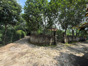 lô góc 2 mặt đường tại lương nha, thanh sơn, phú thọ, cách tl317 vài trăm mét, cầu đồng quang 16km