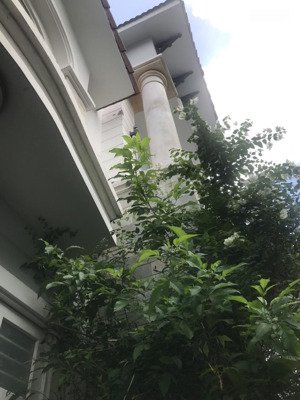 bán biệt thự gần bệnh viện gia định, phường7, bình thạnh (14mx17m, nở hậu 17m 3 lầu chỉ 27,9 tỷ tl)