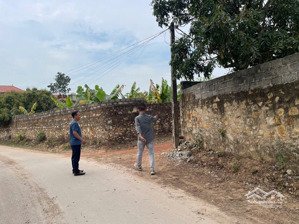 bán đất tại đt 293, lan mẫu, lục nam, bắc giang, 1,65 tỷ, 286 m2