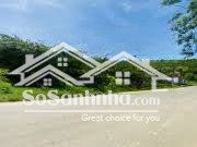 cơ hội đầu tư tại quốc lộ 438b diện tích: 8.000m² (sổ đỏ, đất rừng sản xuất).