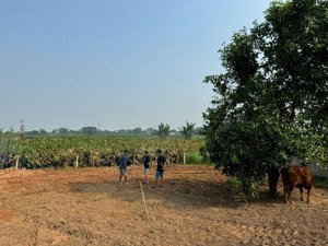 chính chủ bán 1000m có 400m tc tại ba vì giá chỉ hơn 1 tỷ lh 