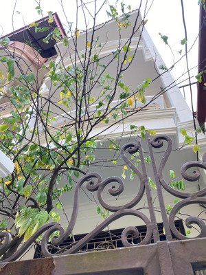 cho thuê nhà nguyễn trãi 83m2, 4 tầng, 5 ngủ - ô tô vào tận cửa - nhận nhà luôn