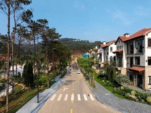 quỹ ngoại giao bt song lập vip 41-04 giá tốt giai đoạn 1 - nhận nhà t11/2025 - trực tiếp từ cdt