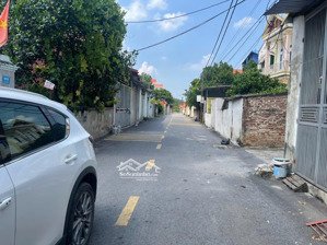 chính chủ gửi bán siêu phẩm tại hương đình đông - xã sóc sơn - tp hà nội