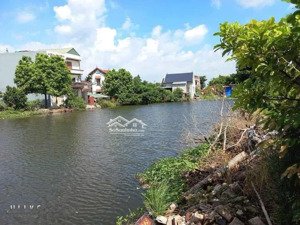 cần bán lô góc view hồ siêu đẹp tại liên nghĩa văn giang ,diện tích 114m gần vành đai 4! giá tốt