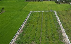 cho thuê đất làm farmstay - khu nghỉ dưỡng sinh thái