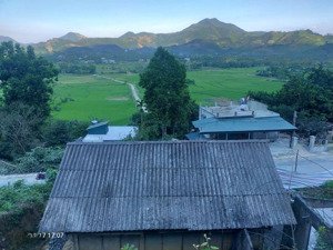 nhanh tay sở hữu lô đất mặt tiền rộng, view thoáng bám đường gom cao tốc