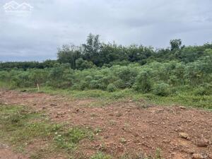 Bán hơn 2 sào đất ngay An Thái Phú Giáo chỉ 730 triệu