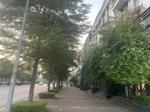 hiếm có nhà bán, shop house cổ linh 120m kinh doanh đỉnh, cơ hội sinh lời cao, giá chỉ 250tr/m2