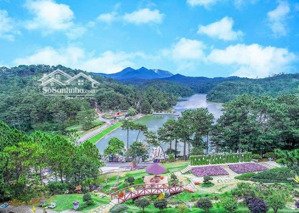 bán btlk intercontinential tam đảo, giá 8,464 tỷ vnd, 97,5m2, view đẹp, nhiều tiện ích đẳng cấp