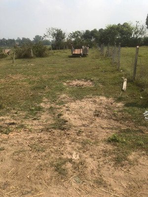 chủ gửi lô đất 585m2 ngay tl 7 x.phước thạnh -củ chi. giá bán nhanh 890tr