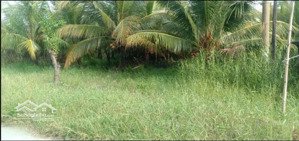 bán đất 450m2, 600 triệu tại xã thới quản, gò quao, kiên giang - uy tín hot!