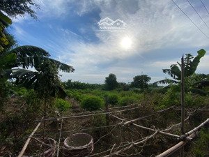 lô đất diện tích hơn 1000m, mặt tiền rộng, ô tô ra vào thoải mái.