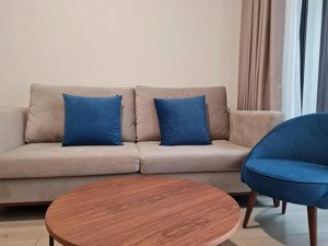 cần cho thuê căn hộ 1 pn + nội thất nhập từ pháp đẹp tại lumière boulevard