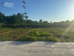 bán đất nền ở khu phố thống nhất , thị trấn thanh sơn, thanh sơn, phú thọ.