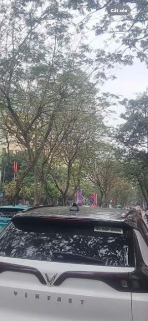 bán nhà mặt phố trần đăng ninh, cầu giấy - thang máy - kinh doanh - 42m 27.8 tỷ