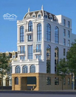 bán nhà mặt phố nguyễn khang, 270m2, 8t, mặt tiền 9.4m, building đẹp, kinh doanh đa dạng.