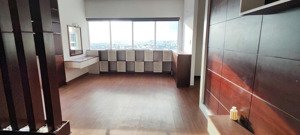 chính chủ cần cắt lỗ gấp căn penhour tuyệt phẩm ngay trung tâm quận tân bình