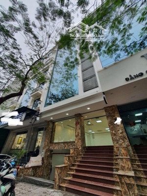 tôi cho thuê nhà linh đàm - đại kim, dt 70m*7 tầng, thang máy, vp, du học, đào tạo, kho, 30tr/th