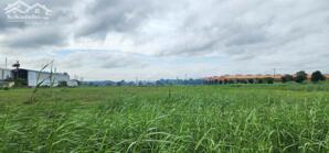 Bán đất xây xưởng KCN Tân Đức, huyện Đức Hòa, tỉnh Long An.